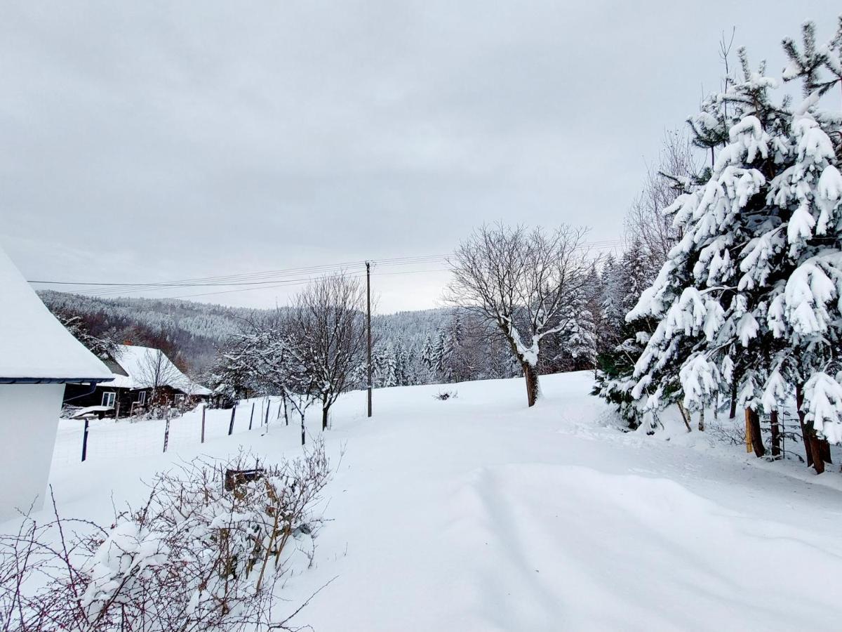 Beskidzka Oaza Targanice Bagian luar foto