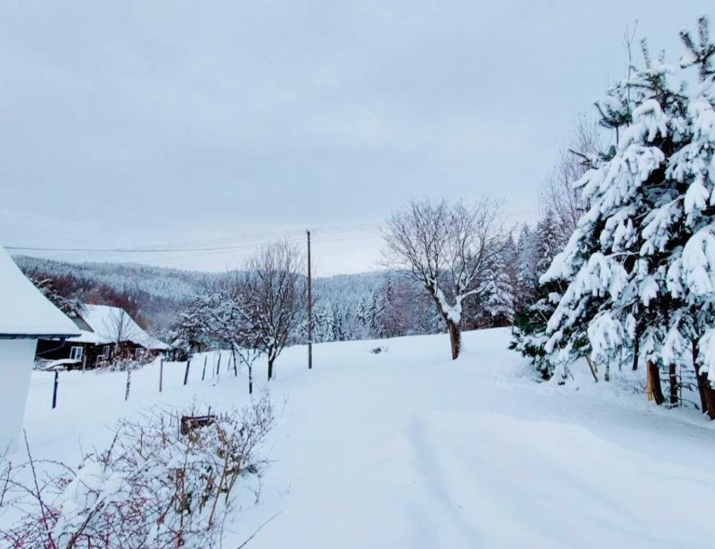 Beskidzka Oaza Targanice Bagian luar foto